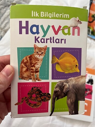 2K İlk kartlar