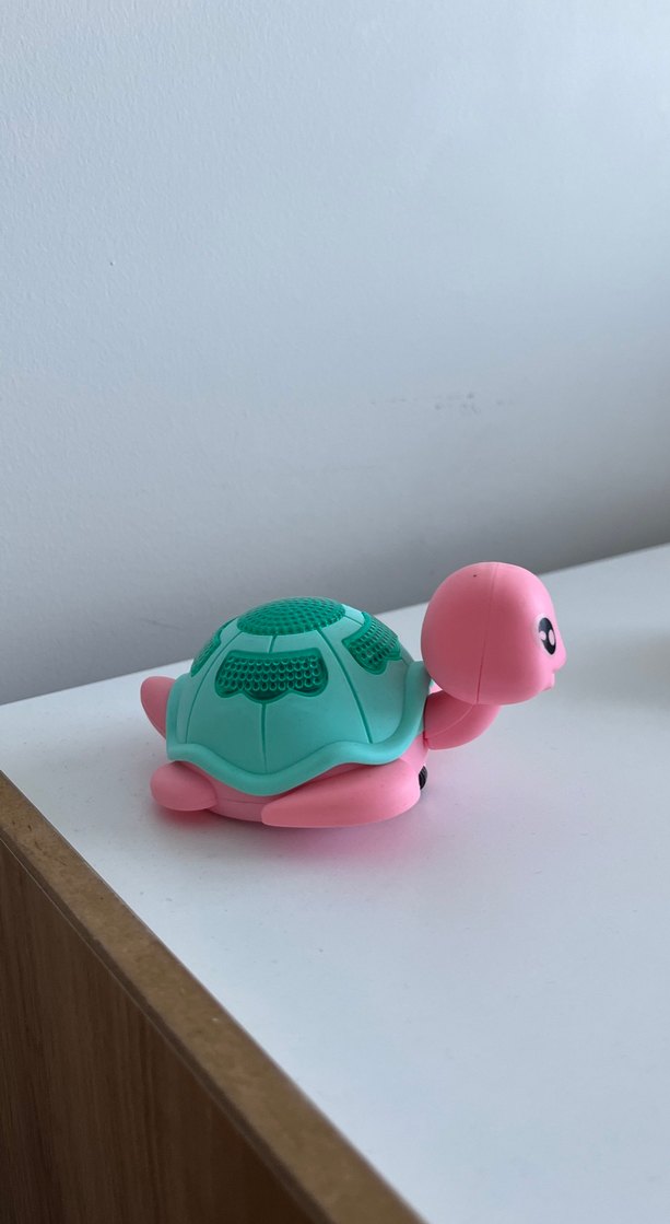 Oyuncak kaplumbağa - Görsel 3