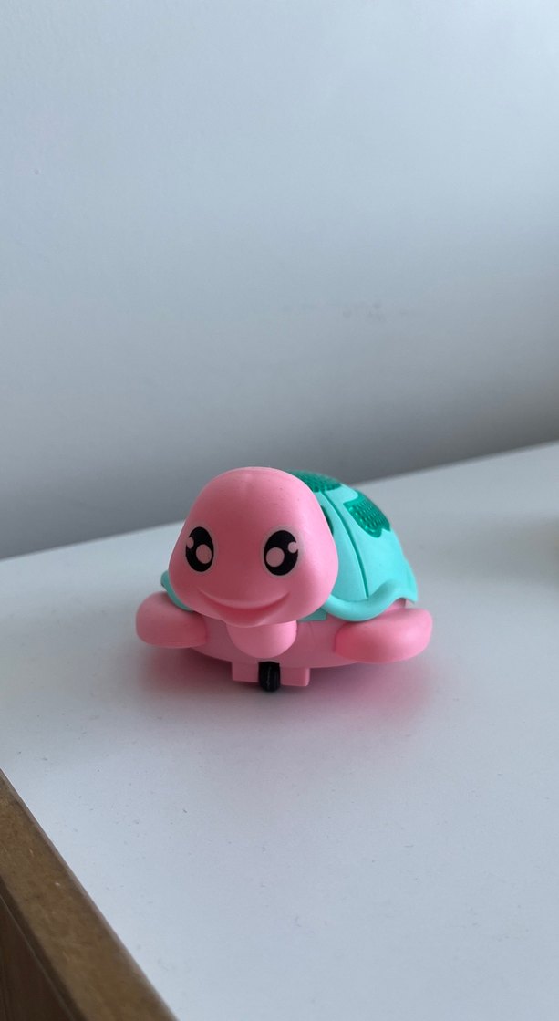 Oyuncak kaplumbağa - Görsel 2