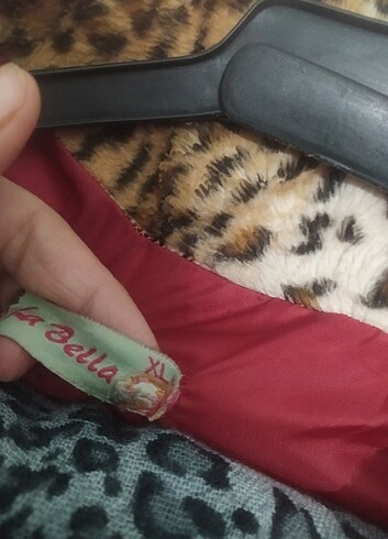 xl Beden Montt