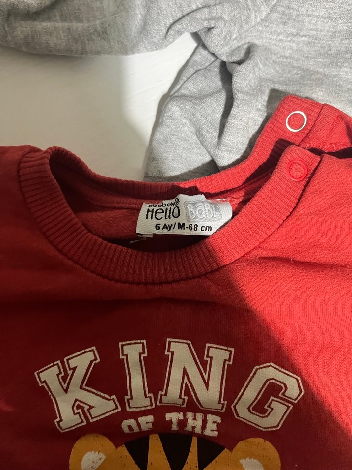 Renkli Baskılı Erkek Çocuk Uzun Kollu Sweatshirt - Görsel 2