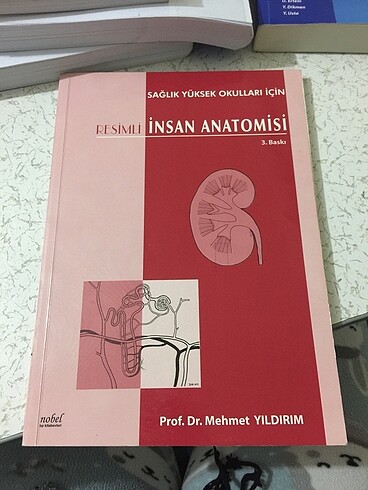 RESİMLİ İNSAN ANATOMİSİ