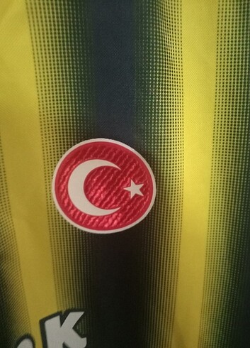 Fenerbahçe formasi - Görsel 3
