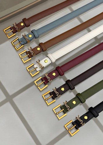 Yves Saint Laurent Ysl Belts Gold Accessories 2cm