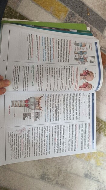 Çocuk gelişimi 1.sınıf - Görsel 3