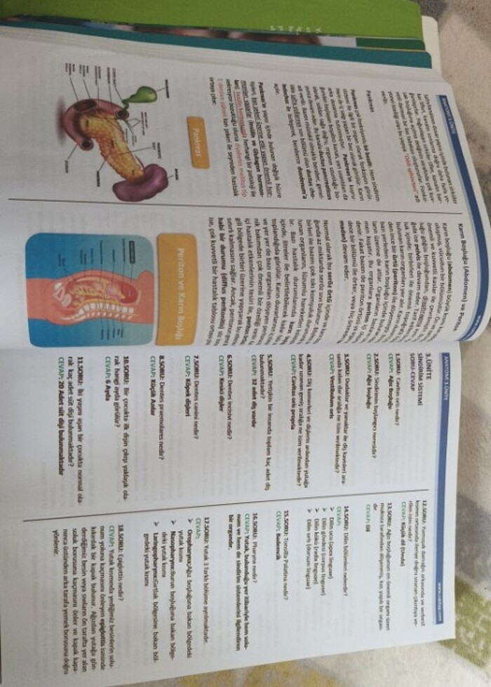 Çocuk gelişimi 1.sınıf - Görsel 2