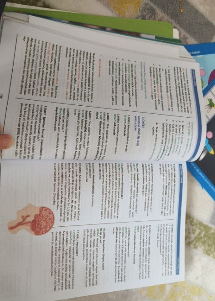 Çocuk gelişimi 1.sınıf - Görsel 4