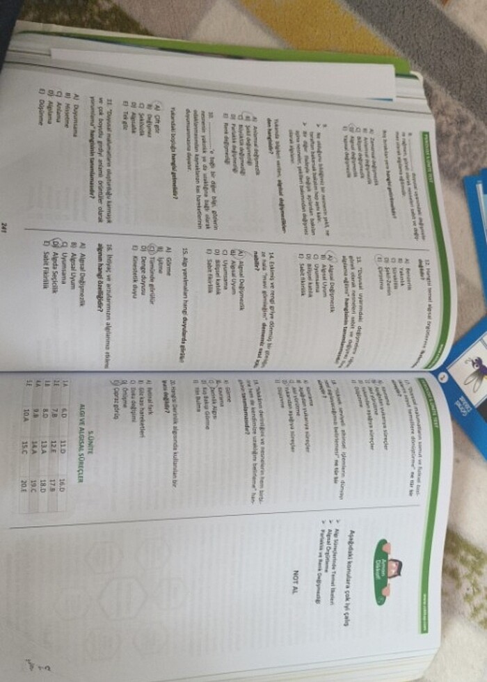 Çocuk gelişimi 1.sınıf - Görsel 5