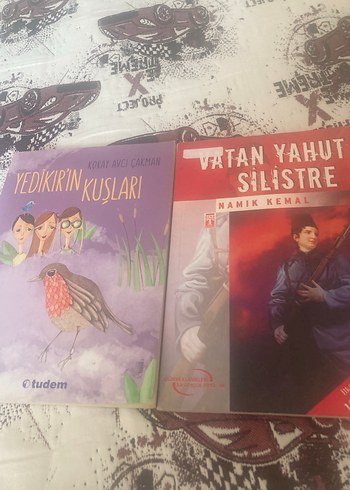 Yedikır'ın Kuşları - Koray Avcı Çakman