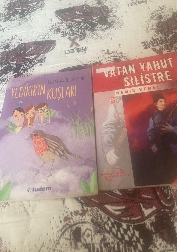 Yedikır'ın Kuşları - Koray Avcı Çakman - Görsel 4