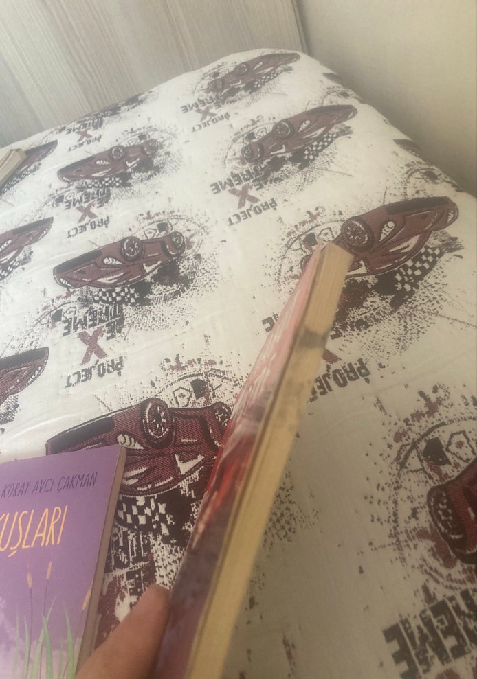 Yedikır'ın Kuşları - Koray Avcı Çakman - Görsel 5