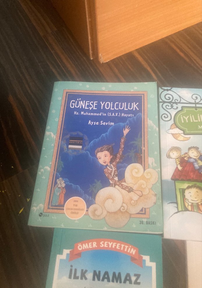 4 Çocuk Kitabı Seti: Güneşe Yolculuk ve Daha Fazlası - Görsel 2