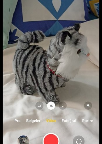 Miyavlayan Hareket Edebilen Peluş Oyuncak Kedi - Görsel 6