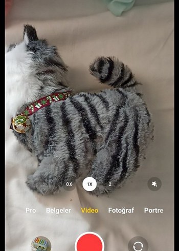 Miyavlayan Hareket Edebilen Peluş Oyuncak Kedi - Görsel 3