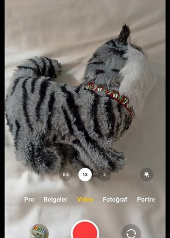 Miyavlayan Hareket Edebilen Peluş Oyuncak Kedi - Görsel 5