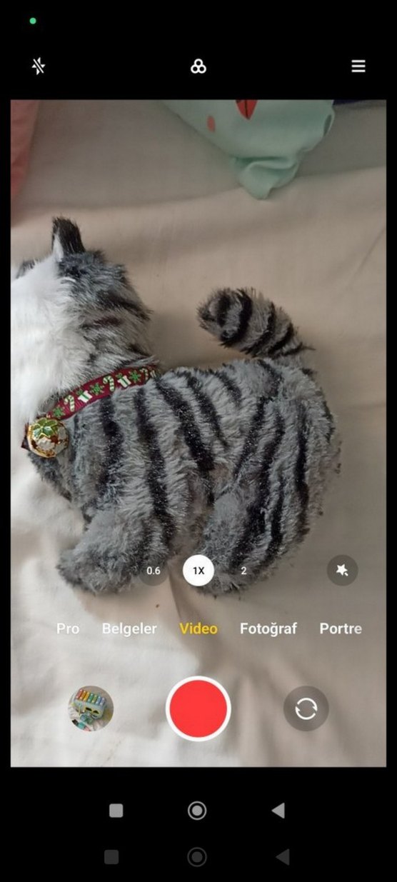 Miyavlayan Hareket Edebilen Peluş Oyuncak Kedi - Görsel 3