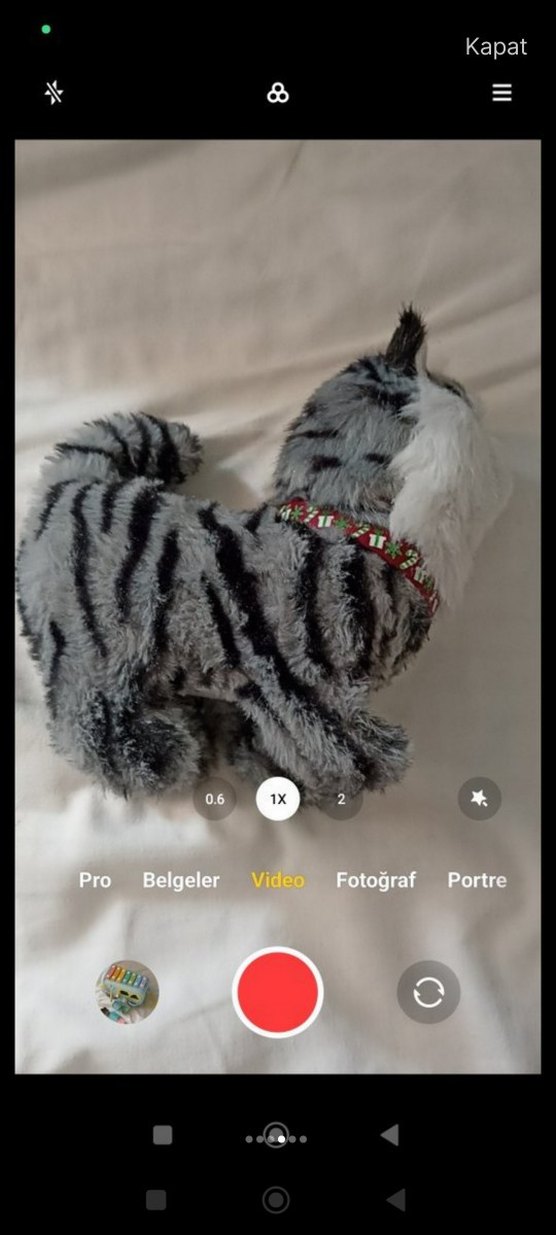 Miyavlayan Hareket Edebilen Peluş Oyuncak Kedi - Görsel 5