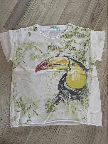 Diğer Erkek çocuk tshirt 8 adet