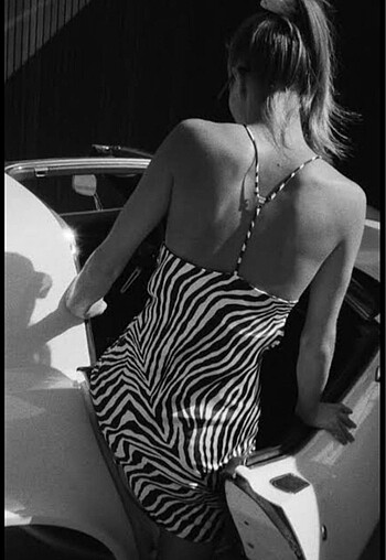 Zara Zara zebra elbise