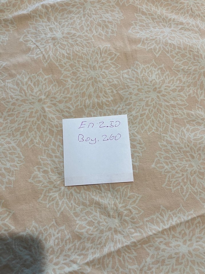 Bej Baskılı lastikli çarşaf - Görsel 2