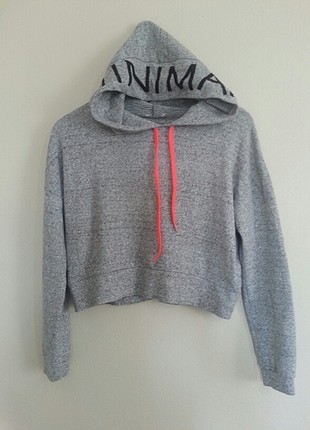 kisa sweat