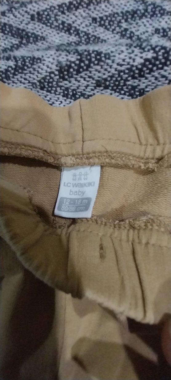 Gri Elastik Bel Erkek Şort - Görsel 4