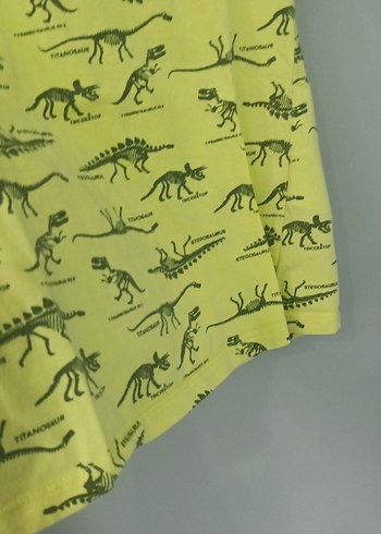 5 Yaş Beden Sarı Dinozor Desenli Erkek Çocuk Tişört