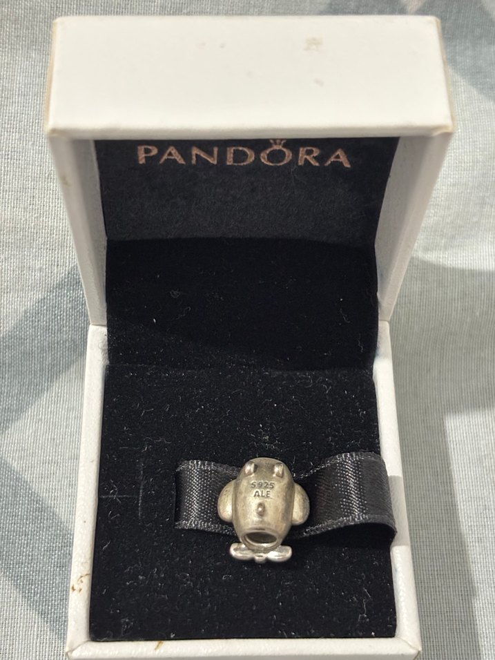 Pandora Uçak Charm - Görsel 2
