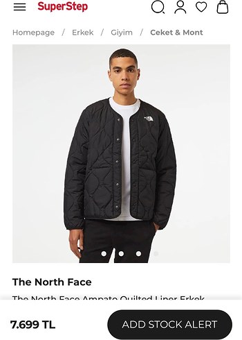 The North Face Erkek Siyah Kapitone Ceket