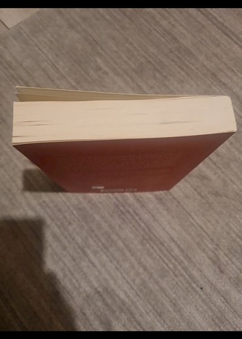 yaprak eran Arkaik Dönem Tapınakları Kitabı - arkeoloji - Görsel 3