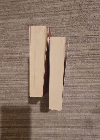 Gülseren Budayıcıoğlu Kitap Seti