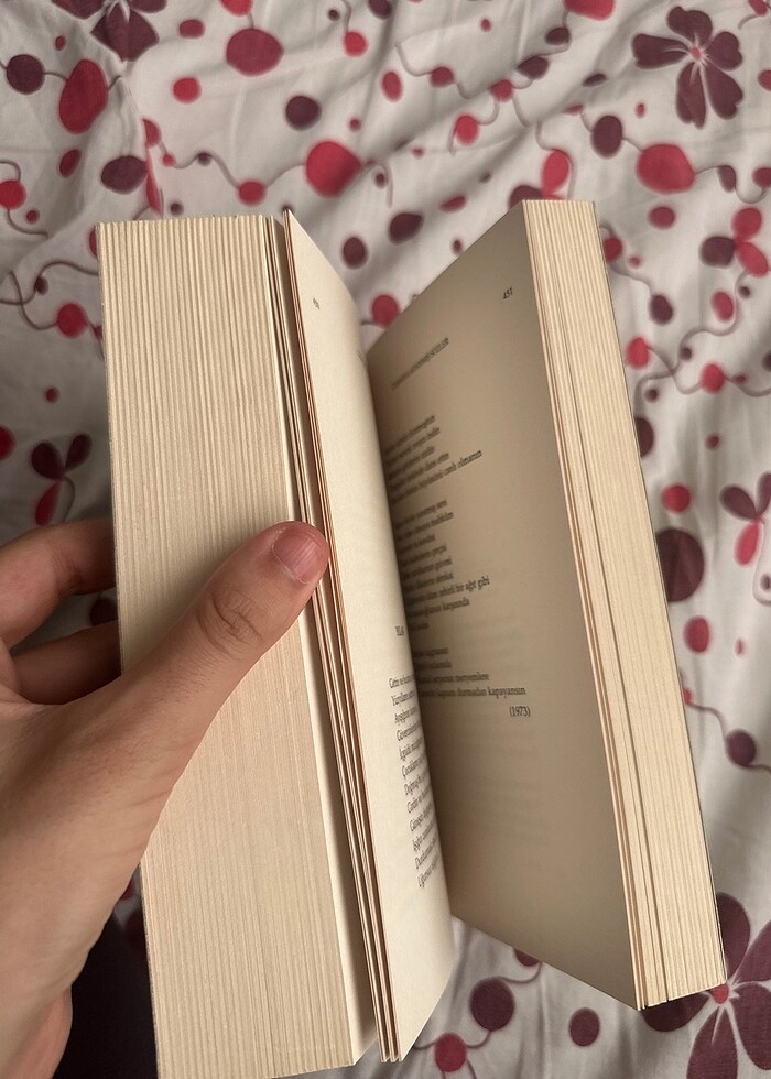 Sezai karakoç gün doğmadan - Görsel 4