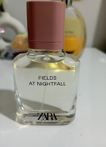Zara Fields At Nightfall