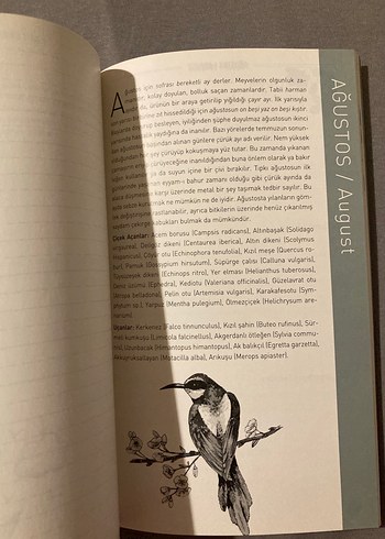 Doğa Defteri - Görsel 3