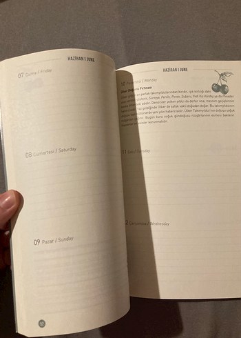 Doğa Defteri - Görsel 4