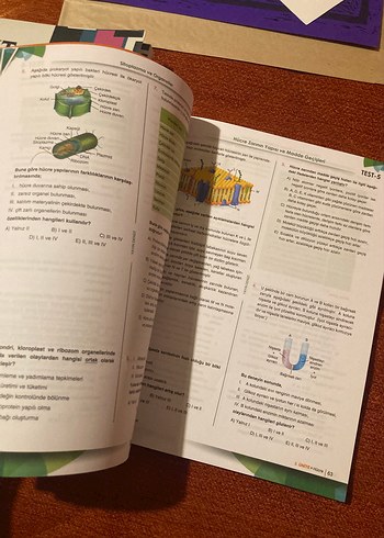 TYT-AYT Biyoloji Soru Bankası Seti - Görsel 6