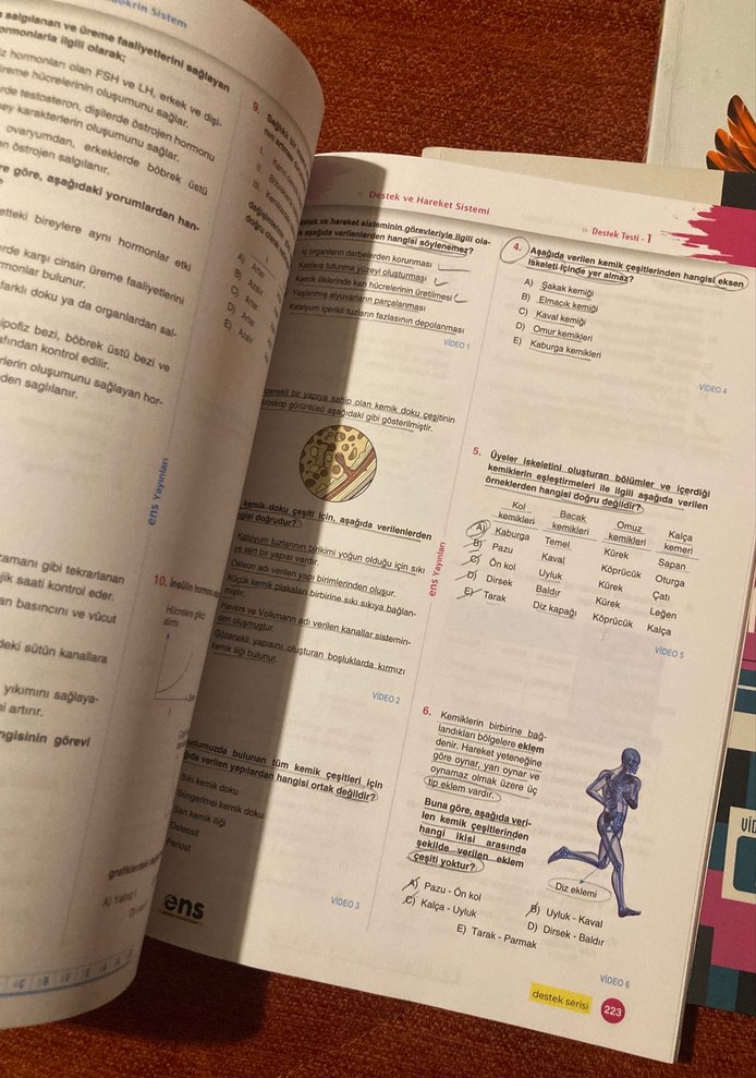 TYT-AYT Biyoloji Soru Bankası Seti - Görsel 2