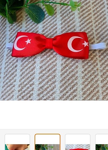 Bayraklı papyon  - Görsel 2