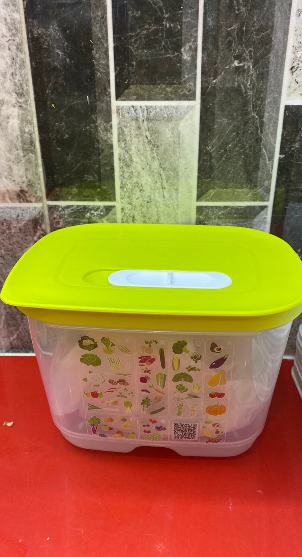 Yeşil Kapaklı Plastik Saklama Kabı - Görsel 4