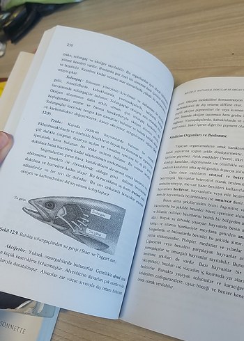 Temel Biyoloji Kitabı - Görsel 2