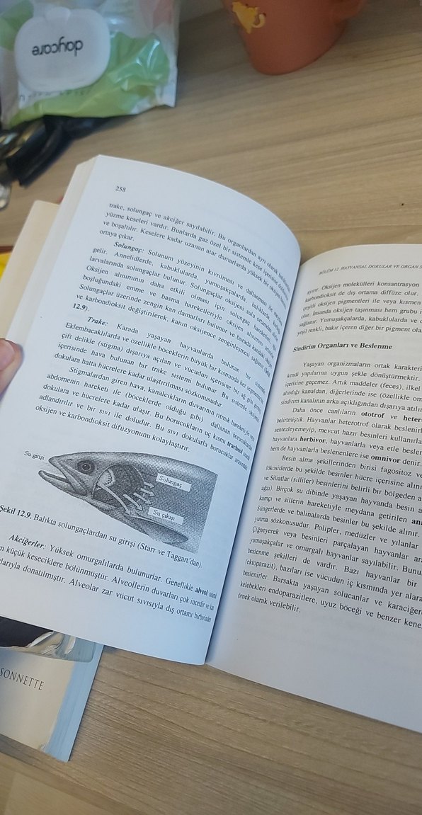 Temel Biyoloji Kitabı - Görsel 2