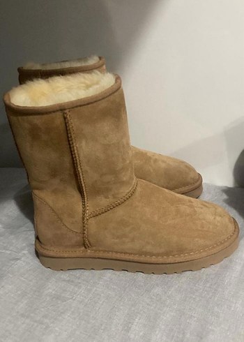 Ugg Ugg bot