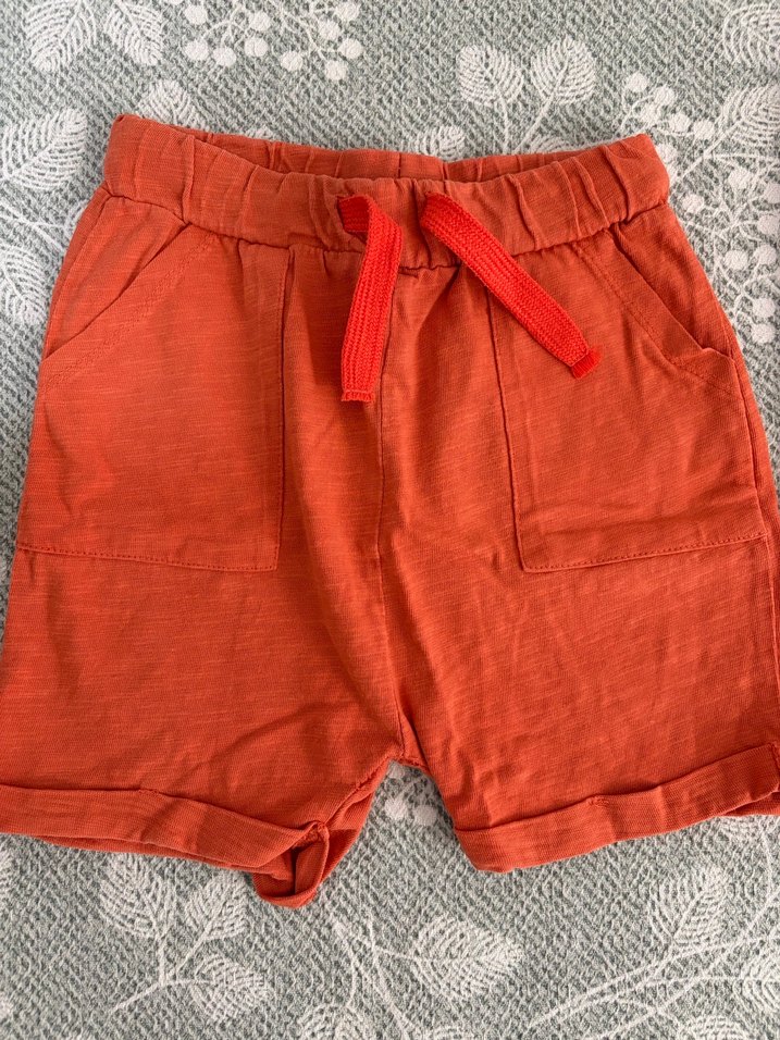 Renkli Pamuklu Erkek Şortlar - Görsel 4