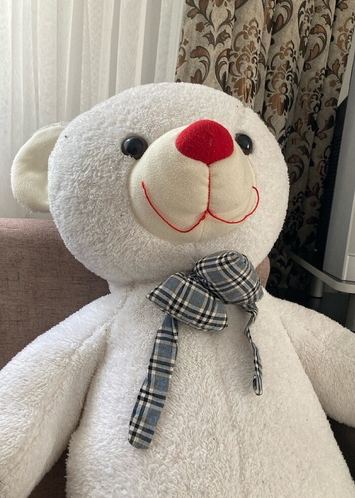 Oyuncak ayı - Görsel 4