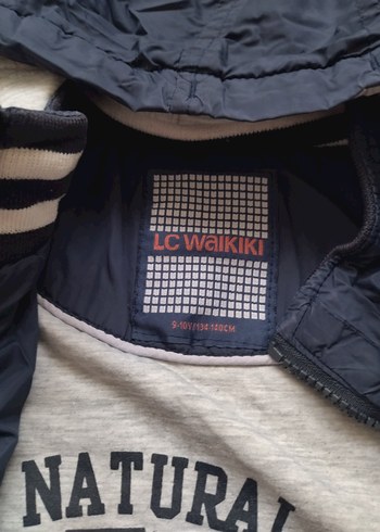 Mavi Kapüşonlu Erkek Çocuk Mont - Görsel 3