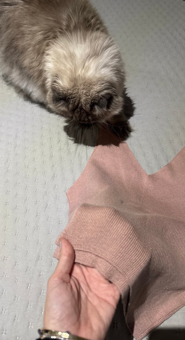 Pembe V Yaka Örme Atlet - Görsel 2