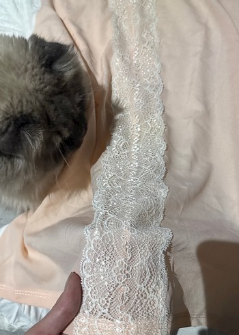 Dantel Detaylı Bej Kısa Kollu Bluz - Görsel 2