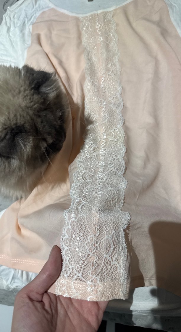 Dantel Detaylı Bej Kısa Kollu Bluz - Görsel 2