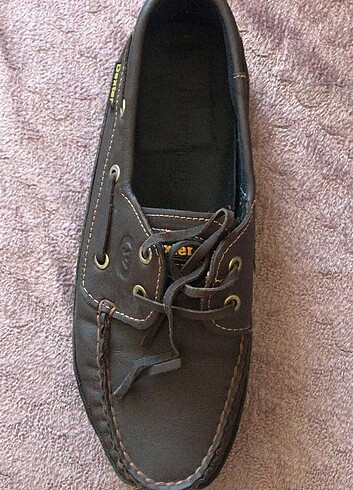 Dexter timberland