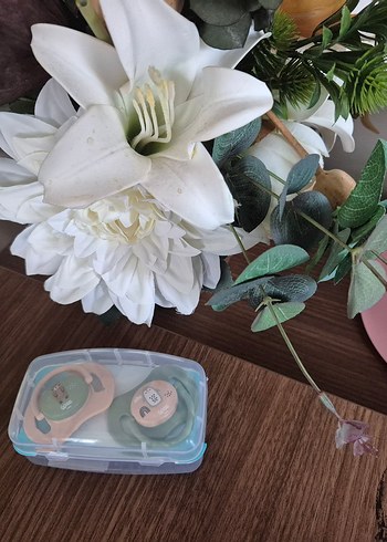 Pastel yeşil Bebek Emziği Kutusunda 0-6 ay - Görsel 2